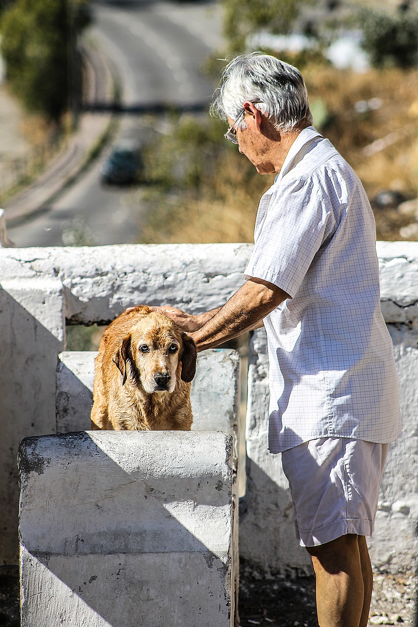 Clean Your Dogs